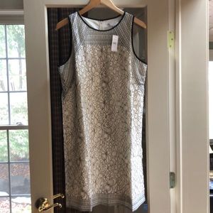 Loft Ecru and Black Lace Dress